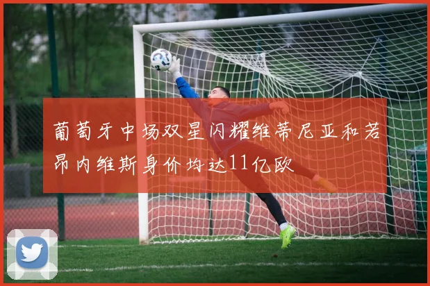 葡萄牙中场双星闪耀维蒂尼亚和若昂内维斯身价均达11亿欧