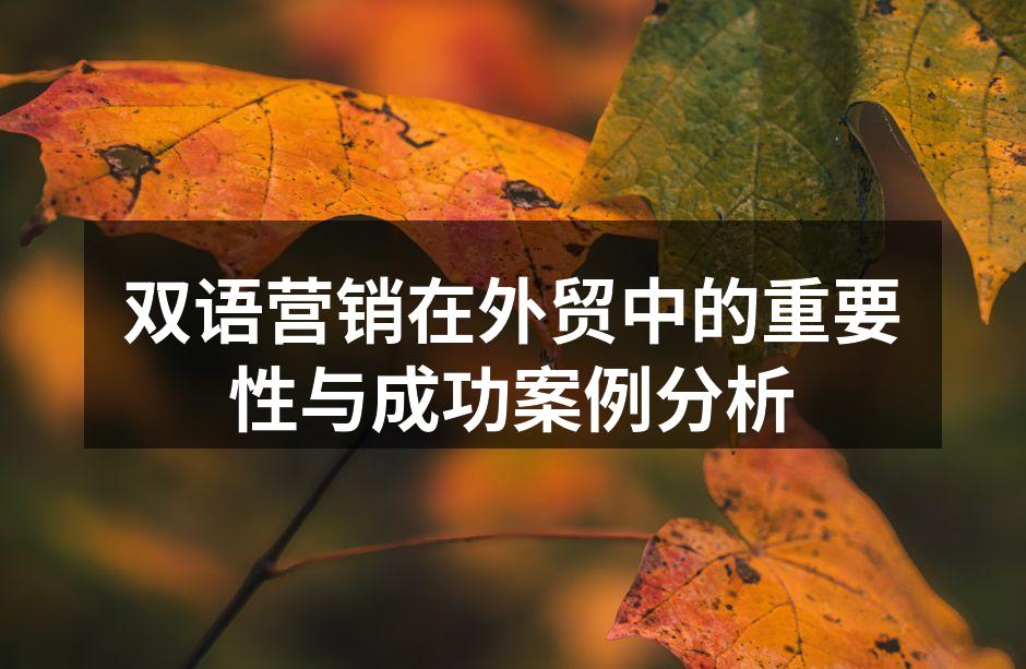 双语营销在外贸中的重要性与成功案例分析
