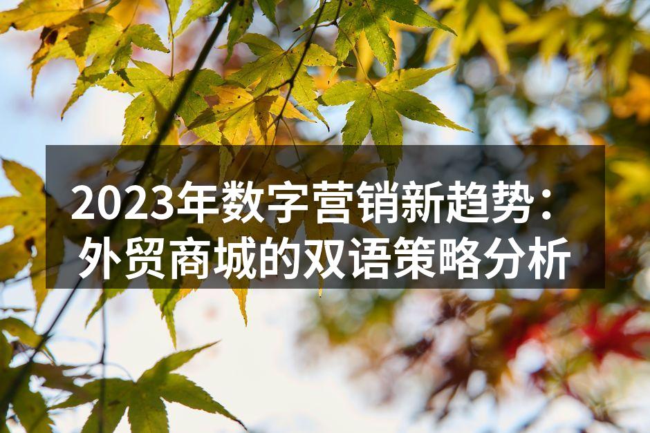 2023年数字营销新趋势：外贸商城的双语策略分析