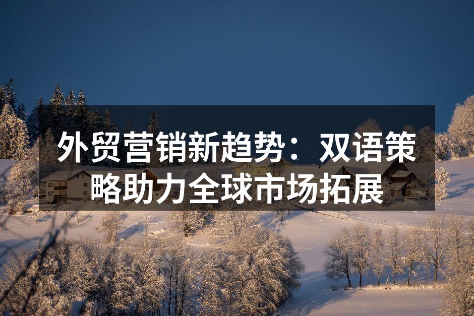 外贸营销新趋势：双语策略助力全球市场拓展