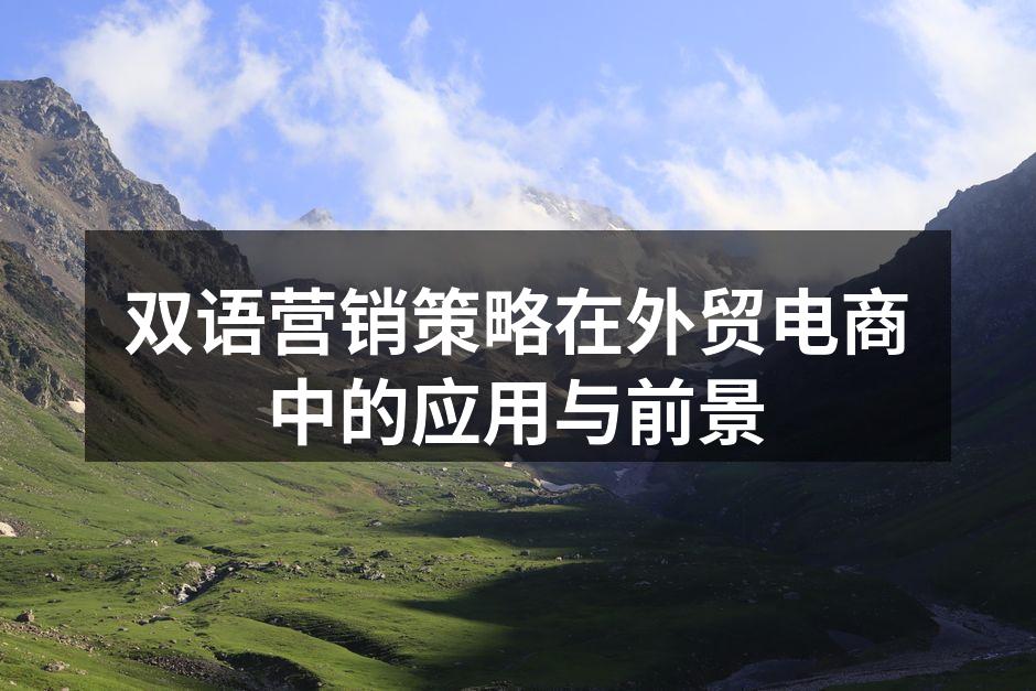 双语营销策略在外贸电商中的应用与前景