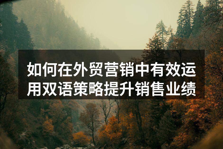 如何在外贸营销中有效运用双语策略提升销售业绩