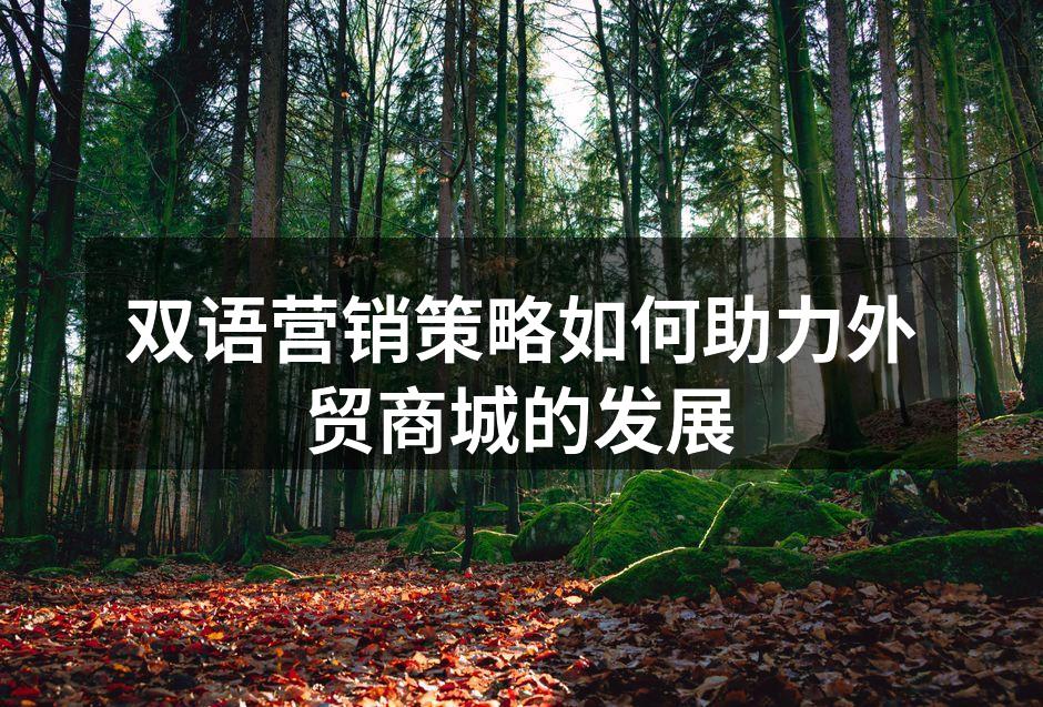 双语营销策略如何助力外贸商城的发展