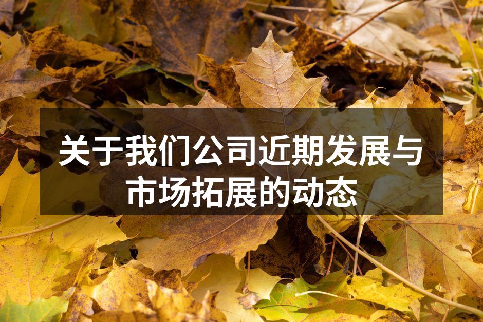 关于我们公司近期发展与市场拓展的动态